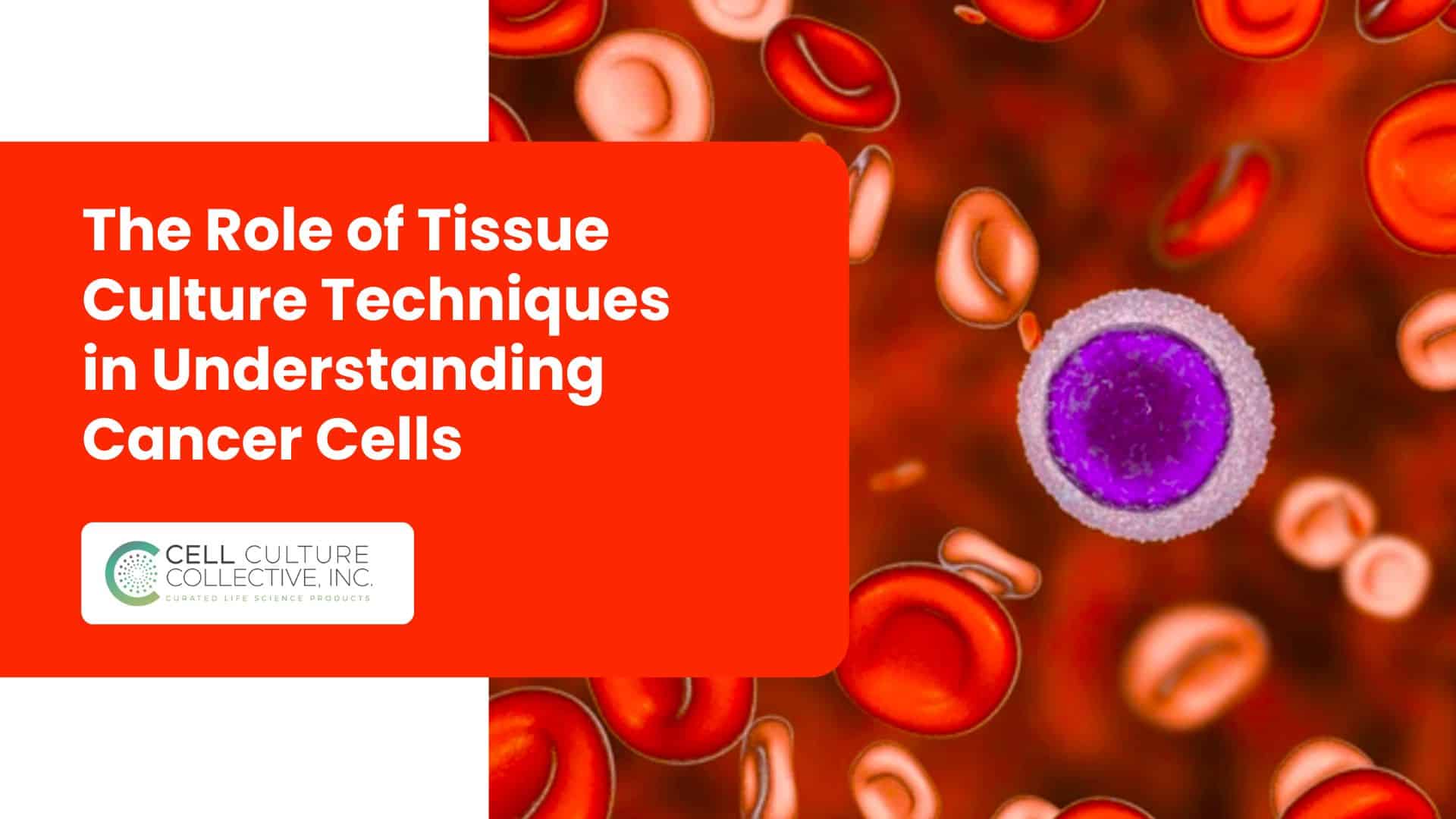 Tissue culture in Cancer Cells