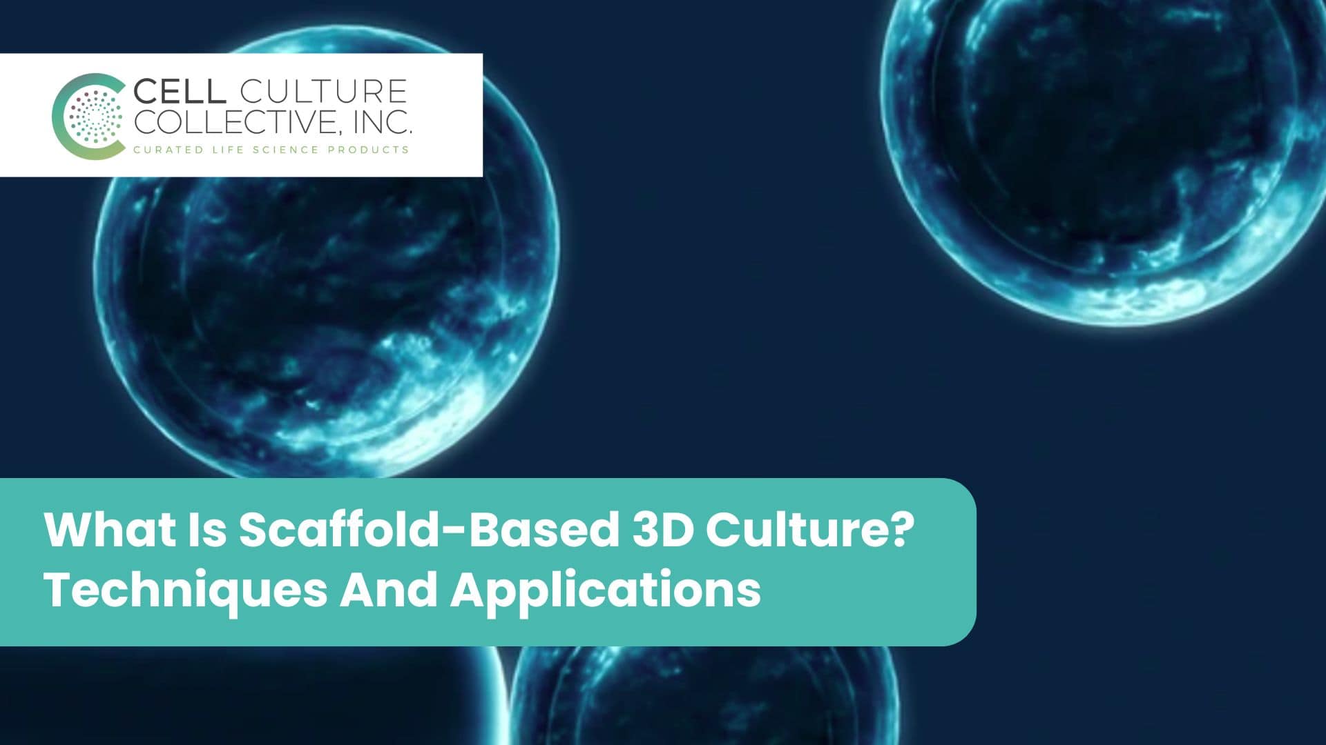 scaffold based 3D culture