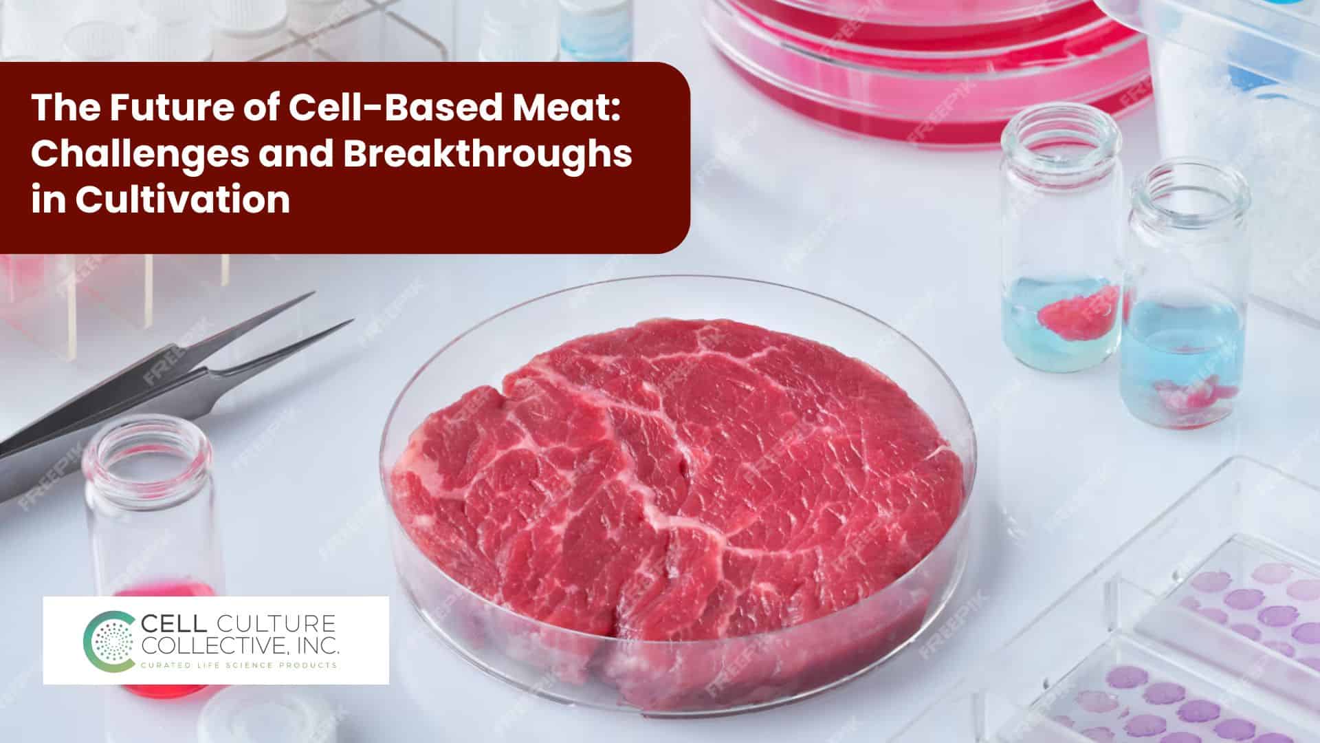 Cell-Based Meat