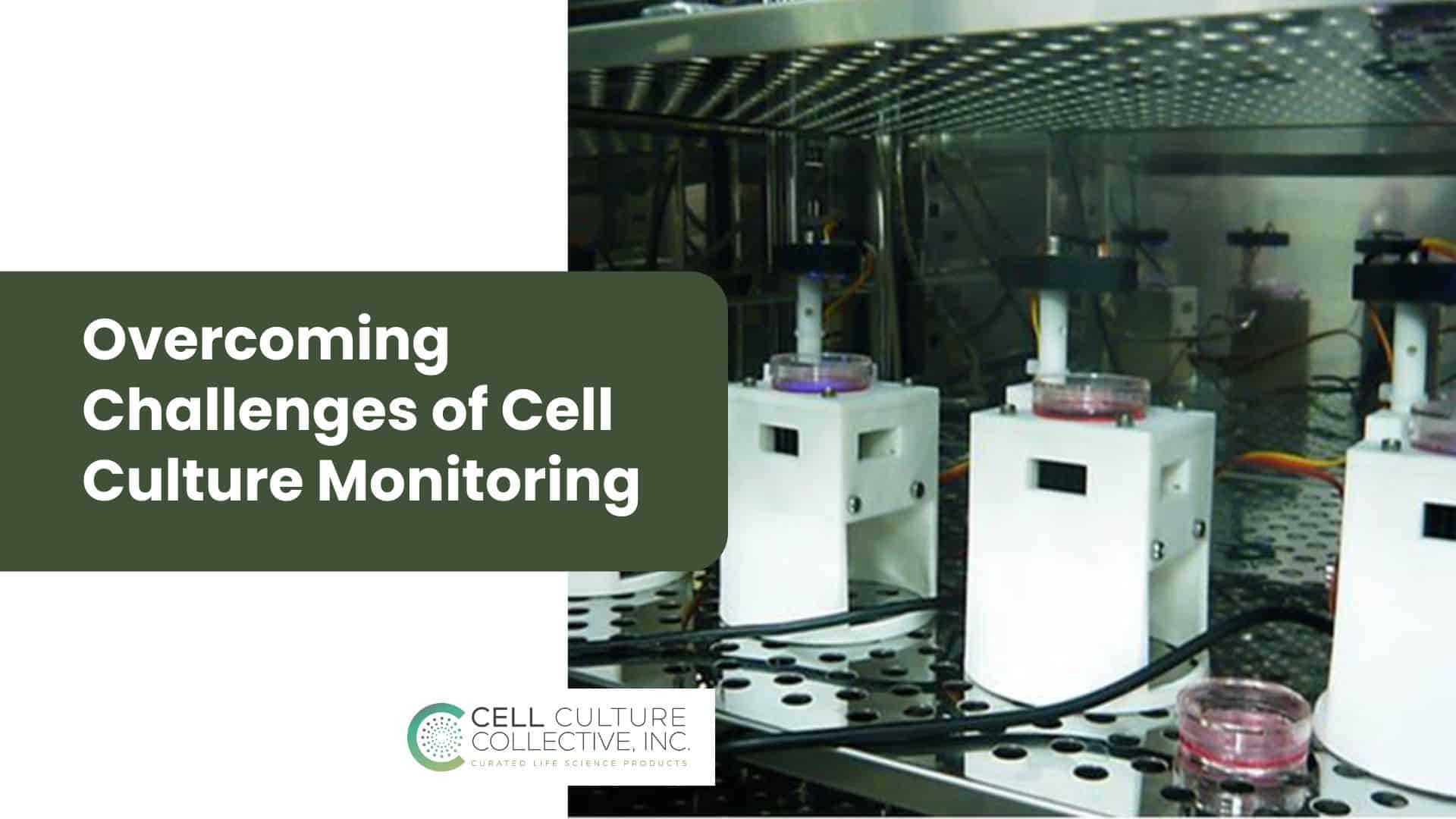 Cell Culture Monitoring