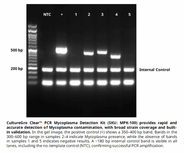 CultureGro Clear™ PCR Mycoplasma Detection Kit, 100 Reactions - Image 3