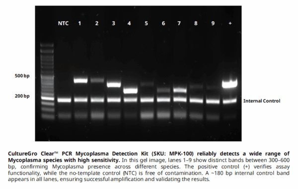 CultureGro Clear™ PCR Mycoplasma Detection Kit, 100 Reactions - Image 2