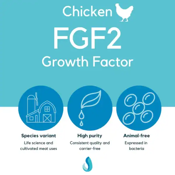 Defined Bioscience® FGF2 (Chicken)
