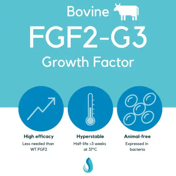 Defined Bioscience® FGF2 (Bovine)
