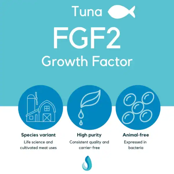 Defined Bioscience® FGF2 (Tuna)
