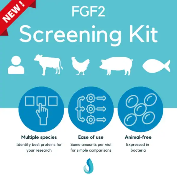 Defined Bioscience® FGF2 Screening Kit