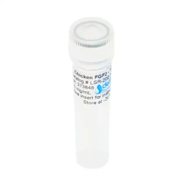 Defined Bioscience® FGF2 (Chicken) - Image 2
