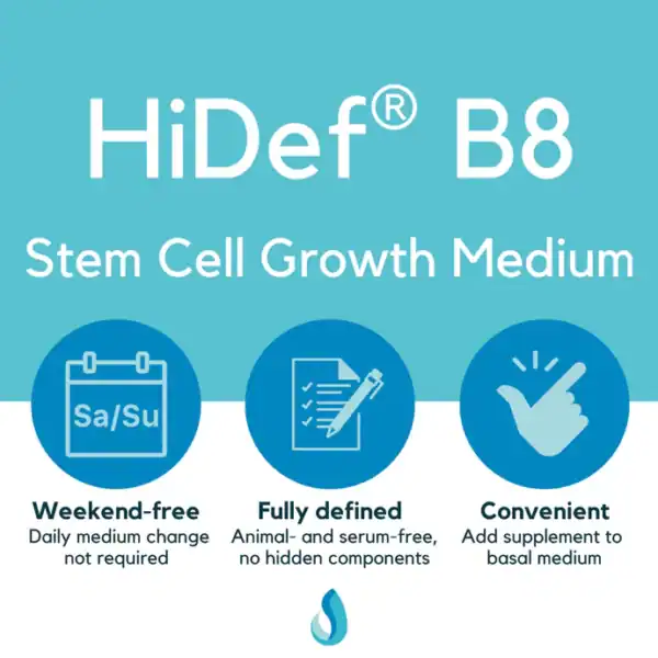HiDef™-B8 Stem Cell Growth Medium - Image 7