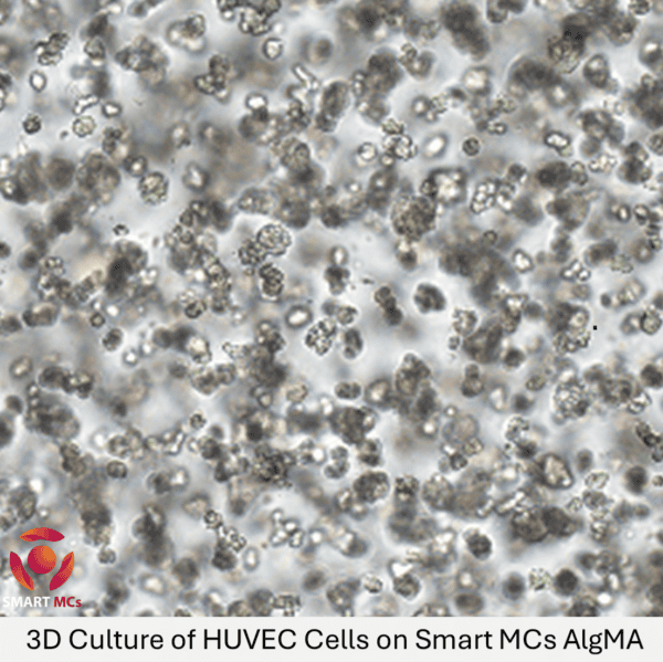 SmartMCs AlgMA (Alginate Methacryloyl) Hydrogel - Image 3