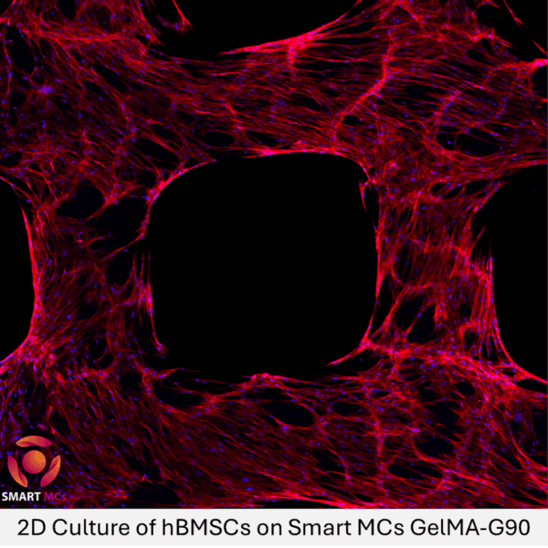 SmartMCs GelMA (Gelatin Methacryloyl) Hydrogel - Image 5