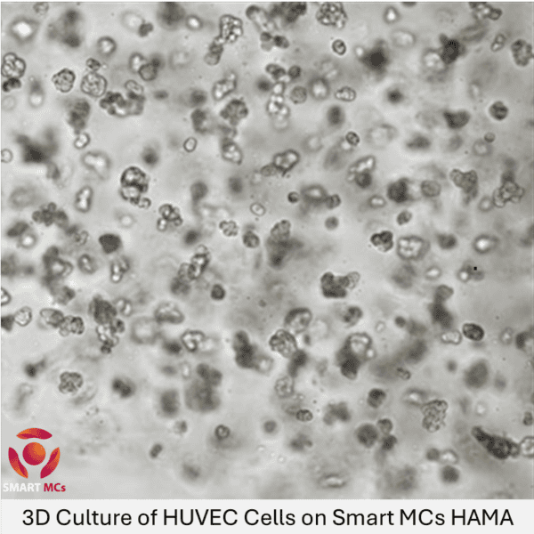 SmartMCs HAMA (Methacrylated Hyaluronic Acid) Hydrogel - Image 4