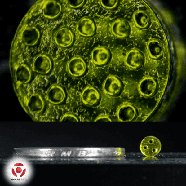 SmartMCs HAMA (Methacrylated Hyaluronic Acid) Hydrogel - Image 3