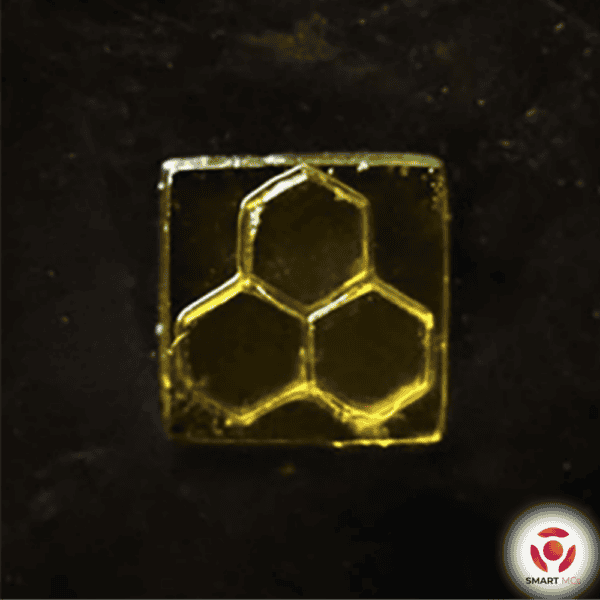SmartMCs PLMA (poly-L-lysine methacrylate) Hydrogel - Image 2