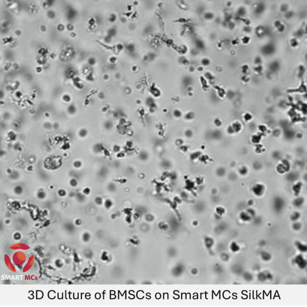SmartMCs Silk Fibroin Methacryloyl (SilkMA) Hydrogel - Image 2
