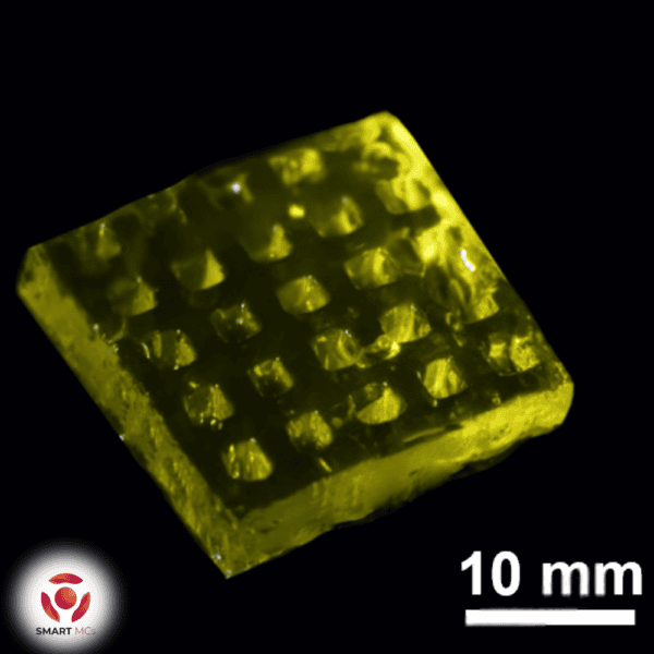 SmartMCs Silk Fibroin Methacryloyl (SilkMA) Hydrogel - Image 3