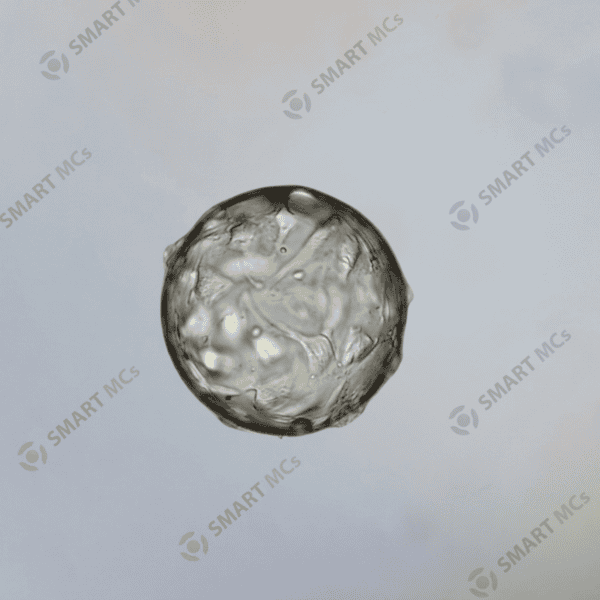 SmartMCs X1 Microcarrier for Cell Culture - Image 5