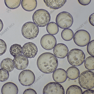 X1 Dissolvable Microcarriers for Cell Culture_3